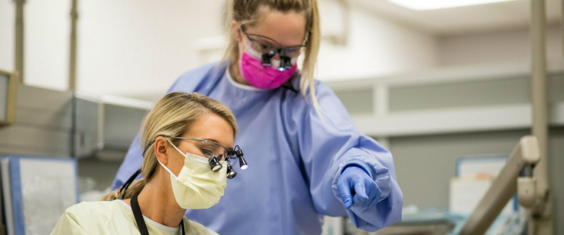 What is the Easiest Major to Become a Dentist?
